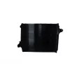 Intercooler, échangeur NRF [30391]