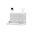 Radiateur d'huile NRF [31342]