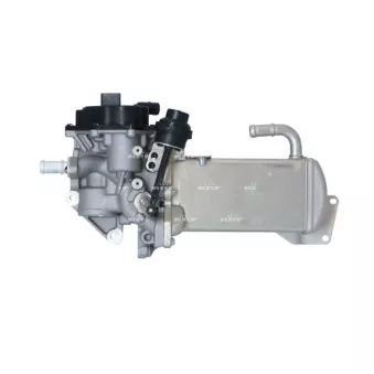 Module-EGR NRF 48202
