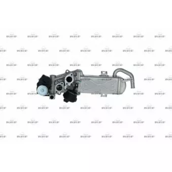 Module-EGR NRF [48213]