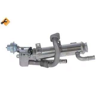 Module-EGR NRF [48311]