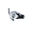NRF 48317 - Module-EGR