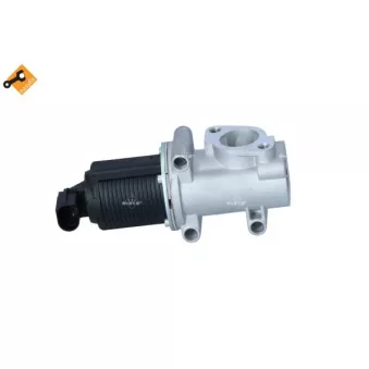 Vanne EGR NRF 48334