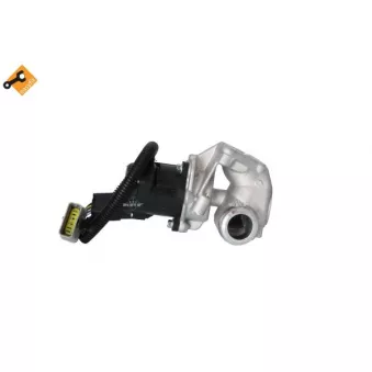 Vanne EGR NRF 48397