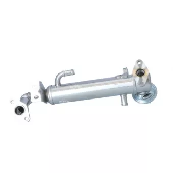 Radiateur, réaspiration des gaz d'échappement NRF OEM 504264081