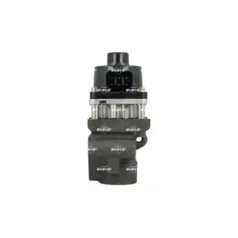 Vanne EGR NRF 48678