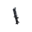 NRF 50563 - Radiateur, refroidissement du moteur