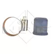 NRF 53713 - Radiateur, refroidissement du moteur