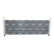 Radiateur, refroidissement du moteur NRF [550267]