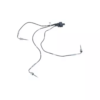 Capteur, température des gaz NRF 707386