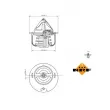 NRF 725057 - Thermostat, liquide de refroidissement
