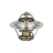 Thermostat, liquide de refroidissement NRF [725064]