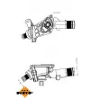 NRF 725078 - Thermostat, liquide de refroidissement
