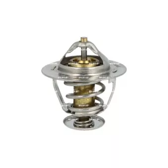 NRF 725087 - Thermostat, liquide de refroidissement
