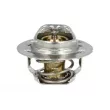 Thermostat, liquide de refroidissement NRF [725089]
