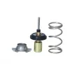 NRF 725093 - Thermostat, liquide de refroidissement