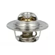 Thermostat, liquide de refroidissement NRF [725104]