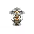 NRF 725119 - Thermostat, liquide de refroidissement