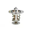 NRF 725119 - Thermostat, liquide de refroidissement