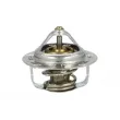 Thermostat, liquide de refroidissement NRF [725120]