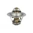 Thermostat, liquide de refroidissement NRF [725125]