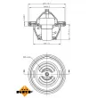 NRF 725149 - Thermostat, liquide de refroidissement