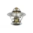 NRF 725161 - Thermostat, liquide de refroidissement