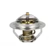 Thermostat, liquide de refroidissement NRF [725181]
