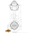 NRF 725189 - Thermostat, liquide de refroidissement