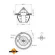NRF 725196 - Thermostat, liquide de refroidissement