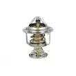 Thermostat, liquide de refroidissement NRF [725199]