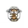 Thermostat, liquide de refroidissement NRF [725205]