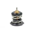 NRF 725225 - Thermostat, liquide de refroidissement