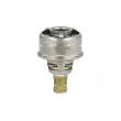 Thermostat, liquide de refroidissement NRF [725254]