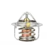 Thermostat, liquide de refroidissement NRF [725385]