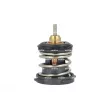 Thermostat, liquide de refroidissement NRF [725387]
