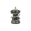 NRF 725391 - Thermostat, liquide de refroidissement