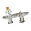 NRF 725393 - Thermostat, liquide de refroidissement