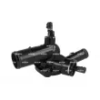 Thermostat, liquide de refroidissement NRF [725417]