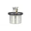 NRF 725431 - Thermostat, liquide de refroidissement