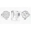 Alternateur MAGNETI MARELLI [063732041010]
