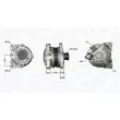 MAGNETI MARELLI 063732186010 - Alternateur