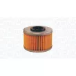 MAGNETI MARELLI 152071760554 - Filtre à carburant