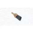MAGNETI MARELLI 171916011970 - Sonde, température du liquide de refroidissement