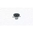 Pompe à eau, refroidissement du moteur MAGNETI MARELLI [350984186000]
