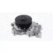 Pompe à eau, refroidissement du moteur MAGNETI MARELLI [350984190000]