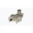 MAGNETI MARELLI 350984191000 - Pompe à eau, refroidissement du moteur