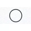 MAGNETI MARELLI 350984222000 - Pompe à eau, refroidissement du moteur