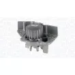 MAGNETI MARELLI 350984229000 - Pompe à eau, refroidissement du moteur