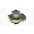 Pompe à eau, refroidissement du moteur MAGNETI MARELLI [350984235000]